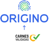 Logo Origino